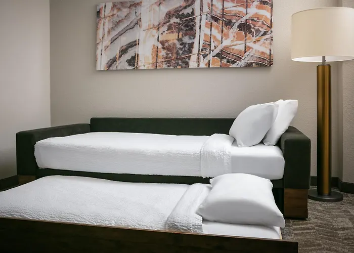 Hotel Springhill By Marriott